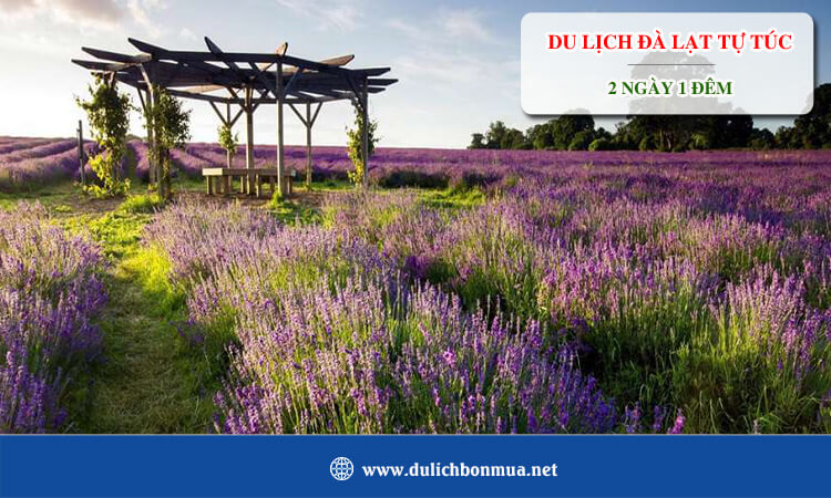 Du lịch Đà Lạt 2 ngày 1 đêm tự túc 
