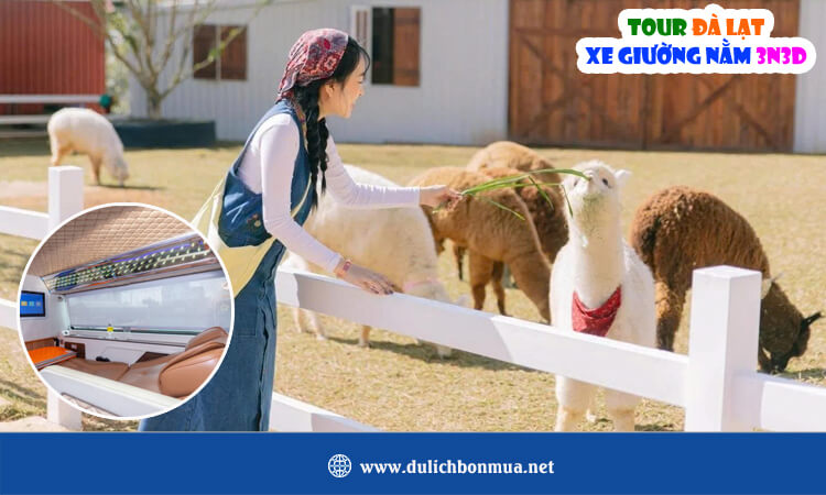 Tour Đà Lạt xe giường nằm 3 ngày 3 đêm