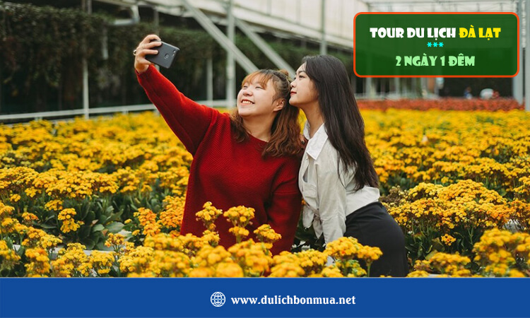 Tour Đà Lạt 2 ngày 1 đêm 
